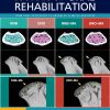 Journal of Oral Rehabilitation, Full Archive (2008 – 2025) Journal of Oral Rehabilitation
