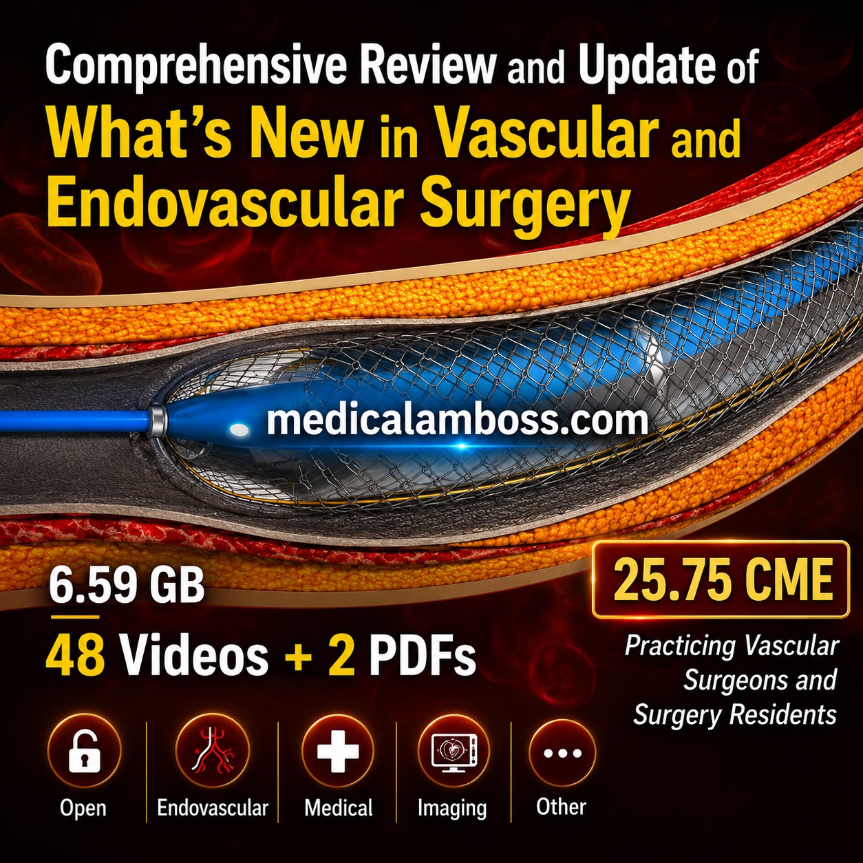 Oakstone Comprehensive Review and Update of What’s New in Vascular and Endovascular Surgery 2025 Oakstone Comprehensive Review and Update of What’s New in Vascular and Endovascular Surgery 2025