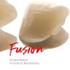 Fusion: Art and Nature in Ceramic Restorations: 2-Volume Set (Scanned PDF) Fusion: Art and Nature in Ceramic Restorations: 2-Volume Set