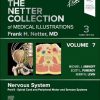 The Netter Collection of Medical Illustrations: Nervous System, Volume 7, Part II – Spinal Cord and Peripheral Motor and Sensory Systems, 3rd edition (ePub+Converted PDF) The Netter Collection of Medical Illustrations: Nervous System, Volume 7, Part II – Spinal Cord and Peripheral Motor and Sensory Systems, 3rd edition (ePub+Converted PDF)