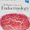 Williams Textbook of Endocrinology, 14th Edition (Original PDF from Publisher)