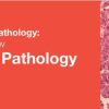 Classic Lectures in Pathology: What You Need to Know: Gynecologic Pathology 2018 Classic Lectures in Pathology: What You Need to Know: Gynecologic Pathology 2018