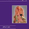 Essentials Of Aesthetic Surgery (PDF) Essentials Of Aesthetic Surgery (PDF)