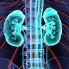 Mayo Clinic Nephrology and Transplantation for the Clinician 2022 (Videos+Assessment Quiz) Mayo Clinic Nephrology and Transplantation for the Clinician 2022 (Videos+Assessment Quiz)