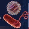 Penn Medicine Infectious Disease Update for Primary Care Providers 2022 Penn Medicine Infectious Disease Update for Primary Care Providers 2022
