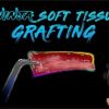 Ninja Soft Tissue Grafting Ninja Soft Tissue Grafting