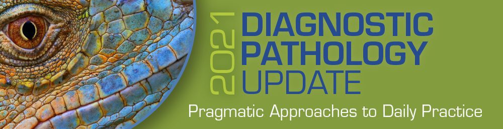 USCAP 2021 Diagnostic Pathology Update: Pragmatic Approaches to Daily Practice USCAP 2021 Diagnostic Pathology Update: Pragmatic Approaches to Daily Practice