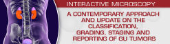 USCAP A Contemporary Approach and Update on the Classification, Grading, Staging and Reporting of GU Tumors 2021