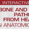 USCAP Bone and Soft Tissue Pathology from Head to Toe: An Anatomical Approach 2022 (CME VIDEOS) USCAP Bone and Soft Tissue Pathology from Head to Toe: An Anatomical Approach 2022 (CME VIDEOS)