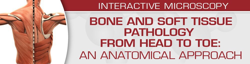USCAP Bone and Soft Tissue Pathology from Head to Toe: An Anatomical Approach 2022 (CME VIDEOS) USCAP Bone and Soft Tissue Pathology from Head to Toe: An Anatomical Approach 2022 (CME VIDEOS)