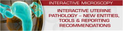 USCAP Interactive Uterine Pathology – New Entities, Tools & Reporting Recommendations 2020