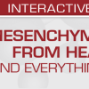 USCAP Mesenchymal Tumors: From Head to Toe (and Everything in Between) 2022 USCAP Mesenchymal Tumors: From Head to Toe (and Everything in Between) 2022
