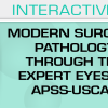 USCAP Second Edition Modern Surgical Pathology Through the Expert Eyes of APSS-USCAP 2020 USCAP Second Edition Modern Surgical Pathology Through the Expert Eyes of APSS-USCAP 2020