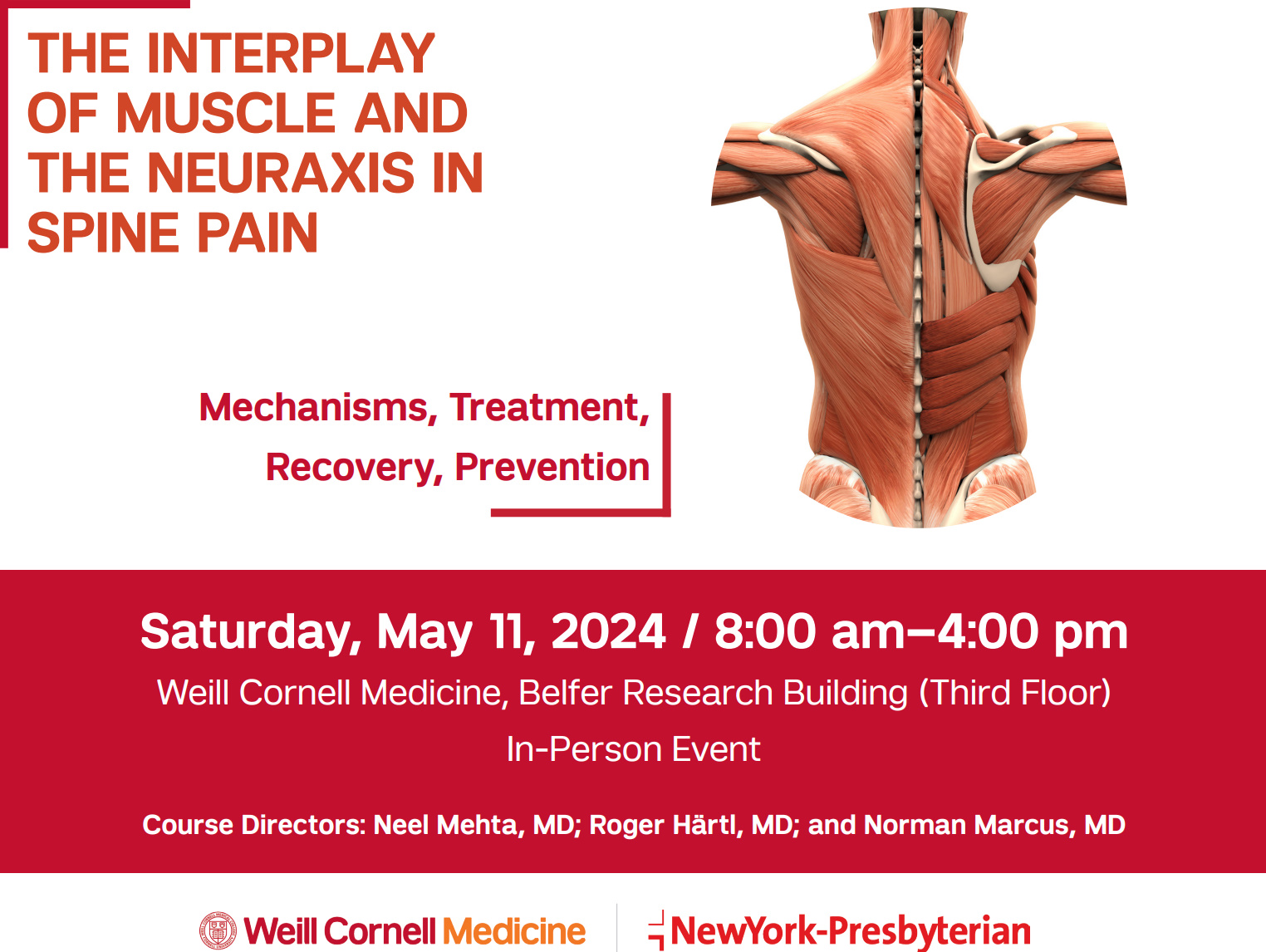 The Interplay of Muscle and the Neuraxis in Spine Pain 2024 The Interplay of Muscle and the Neuraxis in Spine Pain 2024