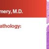 Expert Series with Elizabeth Montgomery, M.D.: Gastrointestinal Pathology: A One-On-One Tutorial 2021