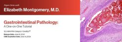 Expert Series with Elizabeth Montgomery, M.D.: Gastrointestinal Pathology: A One-On-One Tutorial 2021