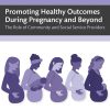 Promoting Healthy Outcomes During Pregnancy and Beyond: The Role of Community and Social Service Providers (Original PDF from Publisher)
