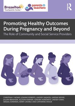 Promoting Healthy Outcomes During Pregnancy and Beyond: The Role of Community and Social Service Providers (Original PDF from Publisher)