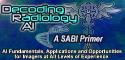 Meetings By Mail Decoding Radiology AI A SABI Primer 2025