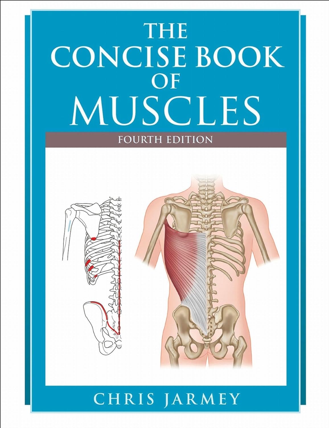 The Concise Book of Muscles, 4th Edition (EPUB and pdf) The Concise Book of Muscles, 4th Edition (EPUB)