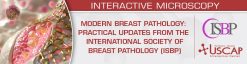 USCAP Modern Breast Pathology Practical Updates from the International Society of Breast Pathology (ISBP) 2026