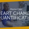 123sonography MasterClass HEART CHAMBER QUANTIFICATION (Videos)