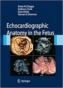 Echocardiographic Anatomy in the Fetus, 2008th Edition (Original PDF from Publisher)