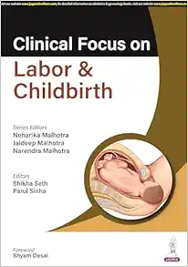 Clinical Focus on Labor & Childbirth (Original PDF from Publisher)