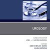 Urology, An Issue of Primary Care: Clinics in Office Practice (EPUB and pdf)