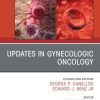 Updates in Gynecologic Oncology, An Issue of Hematology/Oncology Clinics of North America (Original PDF from Publisher)