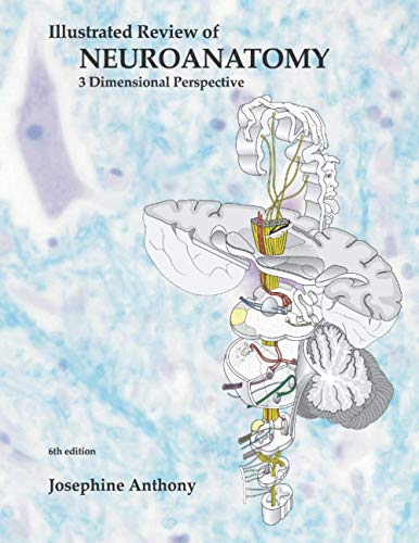 Illustrated Review of Neuroanatomy: 3 Dimensional Perspective (Scanned PDF) Illustrated Review of Neuroanatomy