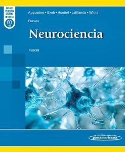 Neurociencia