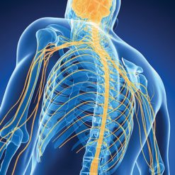 Oakstone Samuels Comprehensive Review of Neurology 2026