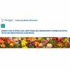 Scripps Conference Arrhythmias and Cardiomyopathy in Women Symposium 2026