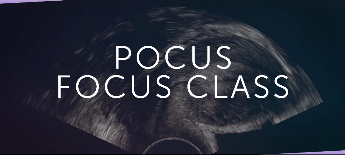 123Sonography OB/GYN US FocusClass (Videos+Quiz) 123Sonography OB/GYN US FocusClass (Videos+Quiz)