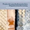 Praxis der psychodynamischen Organisationsberatung