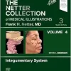 The Netter Collection of Medical Illustrations