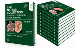The Netter Collection of Medical Illustrations Complete Package (Netter Green Book Collection) 3rd Edition