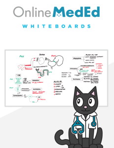 OnlineMedEd WhiteBoard Snapshot for Clinical Science USMLE Step 2 2021 PDF