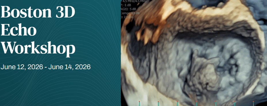 Harvard Boston 3D Echo Workshop 2026 Harvard Boston 3D Echo Workshop 2026