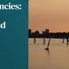 Harvard Heat Emergencies Prevention, Diagnosis, and Management 2026