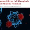 International Myeloma Society 7th Immune Effector Cell Therapies in Multiple Myeloma Workshop 2026