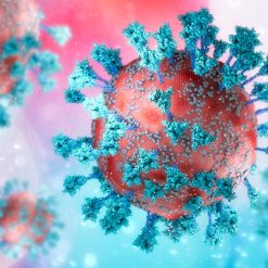 Oakstone The Brigham Board Review and Comprehensive Update in Infectious Diseases 2026