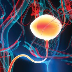 Oakstone Update in Urologic Oncology 2026