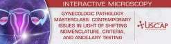 USCAP Gynecologic Pathology Masterclass Contemporary Issues in Light of Shifting Nomenclature, Criteria, and Ancillary Testing 2026