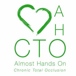 12th AHO CTO PCI Meeting 15 December 2020 (SIMPLE EDUCATION Almost Hands On) ( Videos)