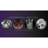 Abdominal Imaging – Gabriela Gayer, M.D. (CMEScience) (Videos) Abdominal Imaging – Gabriela Gayer, M.D. (CMEScience) (Videos)