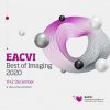 EACVI Best of Imaging 2020 Congress (VIDEOS)