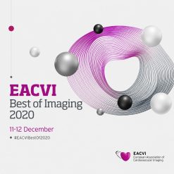 EACVI Best of Imaging 2020 Congress (VIDEOS)