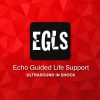 ECHO-Guided Life Support Using ultrasound to categorise shock and guide initial management